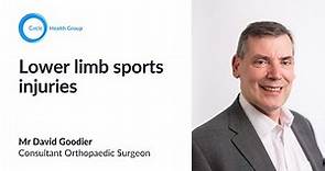 Lower Limb Sports Injuries - David Goodier - The London Independent