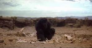 2001: A Space Odyssey - The Dawn of Man