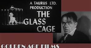 The Glass Cage 1964 FULL MOVIE Arlene Martel John Hoyt Elisha Cook jr