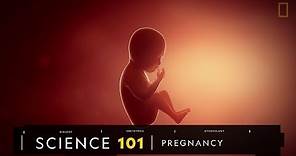 101科學教室：懷孕的奧祕《國家地理》雜誌