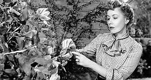 It Grows On Trees 1952 - Irene Dunne, Dean Jagger, Richard Crenna, Joan Evans