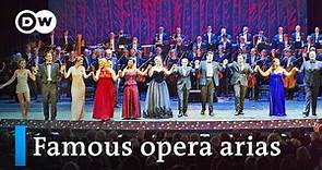 Opera gala: great arias from Puccini, Verdi, Donizetti, Bellini, Bizet ...