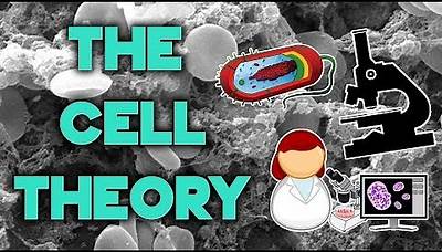 The Cell Theory | Complete Breakdown in 8 Minutes | Bio 101 | STEMstream