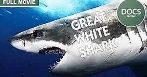 Great White Death (1981) | Full Shark Documentary | Ft. Glenn Ford