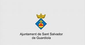 Ple Ordinari Ajuntament Sant Salvador de Guardiola 2 de juny de 2022