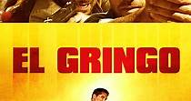 El Gringo - película: Ver online completa en español