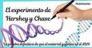 El experimento de Hershey y Chase [La prueba de que el MATERIAL GENÉTICO es el ADN]