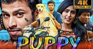 Puppy (4K) - South Superhit Comedy Drama Film | Varun, Samyuktha Hegde, Yogi Babu