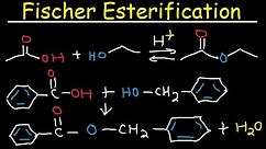 Fischer Esterification Reaction Mechanism - Carboxylic Acid Derivatives