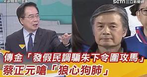 傳金溥聰「發假民調騙朱下令圍攻馬」 蔡正元嗆「狼心狗肺」｜三立新聞網 SETN.com