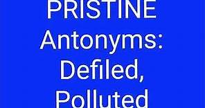 PRISTINE -- Synonyms, Antonyms and Usage/ #Shorts