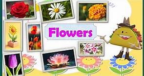 Learn Flower Name for Kids | 10 Common Flowers | Spelling Included | Kidz Korner Creative Learning
