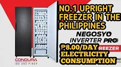 #NO.1 UPRIGHT FREEZER IN THE PHILIPPINES/ INVERTER TECHNOLOGY/ ₱8.OO/DAY ELECTRICITY CONSUMPTION