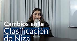 Clasificación Internacional de Niza