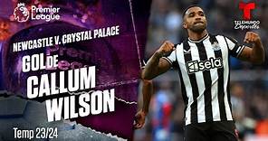 Goal Callum Wilson - Newcastle v. Crystal Palace 23-24 | Premier League | Telemundo Deportes