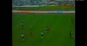 Nery Pumpido World Cup 1986