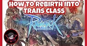 Ragnarok Transcendence: Rebirth into Transcendent Class