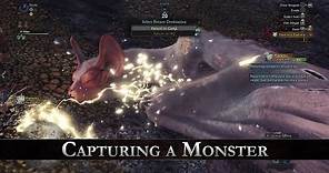 Monster Hunter: World - How to Capture Monsters