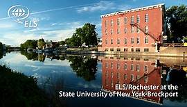 Discover: ELS/Rochester