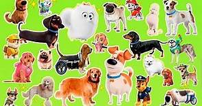 Learn the cartoon dogs breeds | Popular cartoon dogs and their real ...