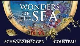 Wonders Of The Sea - Official Trailer