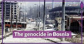 The Genocide in Bosnia