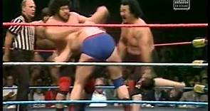 Garea and Martel vs. Fuji and Saito-10/13/81 WWF TV.