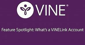 Feature Spotlight Whats a VINELink account