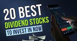 Top 20 Best Dividend Stocks to Invest In NOW