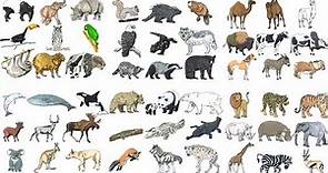 Coloring lot of animals - Animal coloring book