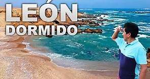 CONOCE la Playa LEÓN DORMIDO | VLOG 2024