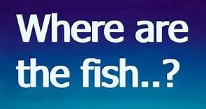 Are There REALLY "Plenty Of Fish In The Sea"???