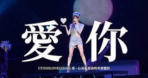 王心凌 Cyndi Wang《愛你 Ai Ni》(CYNDILOVES2SING愛．心凌巡迴演唱會旗艦版 演唱會) Unofficial Live Music Video