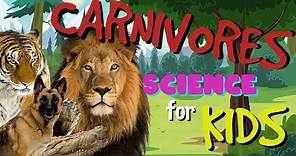 What is a Carnivore? | Science for Kids