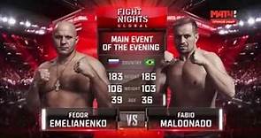 Fedor Emelianenko vs Fabio Maldonado Highlights