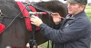 Tips of the Trade - Staying Level -- USTA harness racing Hoof Beats standardbred