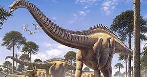 Diplodocus - El Dinosaurio De Cuello Largo