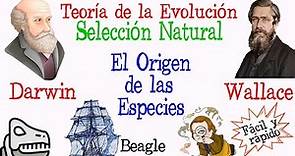 🐚Teoría de la Evolución Darwin y Wallace🔍 [Fácil y Rápido] | BIOLOGÍA |