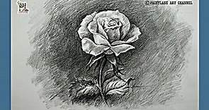 How to draw Rose with Charcoal pencil sketch and shading || PAINTLANE ART VIDEOS
