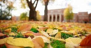 UA's Campus in the Fall | The University of Alabama