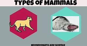 Types of Mammals