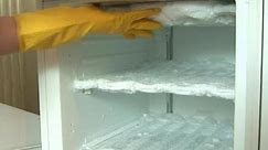 How To Defrost Your Fridge