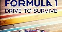 Formula 1: Drive to Survive - guarda la serie in streaming