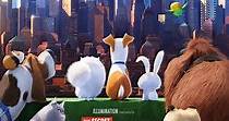 The Secret Life of Pets - watch streaming online