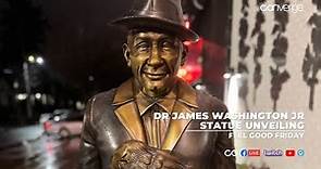 Revealed: The Dr. James Washington Jr. Statue through the lens of TDUB