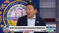 Andrew Yang predicts Biden challenger Dean Phillips will garner 'shocking number' of votes in New Hampshire