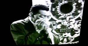 Little Walter Mean Old World (Live) AFBF
