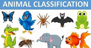 Classification of Animals || Types of Animals || Animal Groups || Science videos