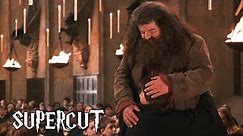 Harry Potter - Best of Hagrid