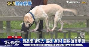 最高階搜救犬「鐵雄」退休! 開放領養申請｜TVBS新聞 @TVBSNEWS01